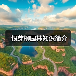 银芽柳园林知识简介(图1) 银芽柳园林知识简介(图1)