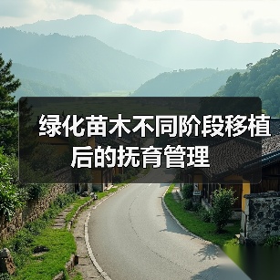 绿化苗木不同阶段移植后的抚育管理(图4) 绿化苗木不同阶段移植后的抚育管理(图4)
