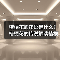 桔梗花的花语是什么?桔梗花的传说解读桔梗花花语(图2) 桔梗花的花语是什么?桔梗花的传说解读桔梗花花语(图2)