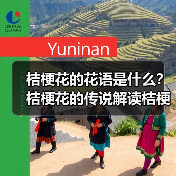 桔梗花的花语是什么?桔梗花的传说解读桔梗花花语(图3) 桔梗花的花语是什么?桔梗花的传说解读桔梗花花语(图3)