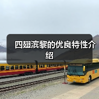 四翅滨黎的优良特性介绍（图4）