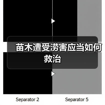 苗木遭受涝害应当如何救治(图1) 苗木遭受涝害应当如何救治(图1)