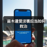 苗木遭受涝害应当如何救治(图4) 苗木遭受涝害应当如何救治(图4)