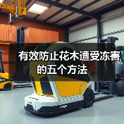 有效防止花木遭受冻害的五个方法(图3) 有效防止花木遭受冻害的五个方法(图3)