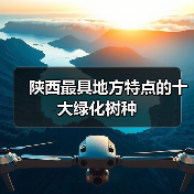 陕西最具地方特点的十大绿化树种(图2) 陕西最具地方特点的十大绿化树种(图2)