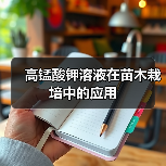 高锰酸钾溶液在苗木栽培中的应用(图2) 高锰酸钾溶液在苗木栽培中的应用(图2)