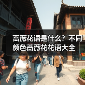 蔷薇花语是什么?不同颜色蔷薇花花语大全(图2) 蔷薇花语是什么?不同颜色蔷薇花花语大全(图2)