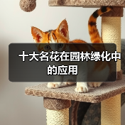 十大名花在园林绿化中的应用（图1）