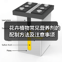 花卉植物常见营养剂的配制方法及注意事项（图3）