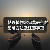 花卉植物常见营养剂的配制方法及注意事项（图2）