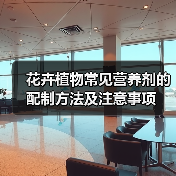 花卉植物常见营养剂的配制方法及注意事项（图4）