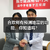 合欢树有预测地震的功能,你知道吗?(图4) 合欢树有预测地震的功能,你知道吗?(图4)