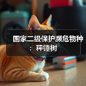 国家二级保护濒危物种:秤锤树(图3) 国家二级保护濒危物种:秤锤树(图3)