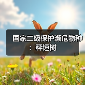 国家二级保护濒危物种:秤锤树(图1) 国家二级保护濒危物种:秤锤树(图1)