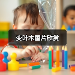 变叶木图片欣赏(图1) 变叶木图片欣赏(图1)