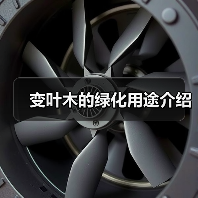 变叶木的绿化用途介绍(图2) 变叶木的绿化用途介绍(图2)