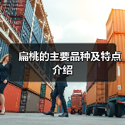 扁桃的主要品种及特点介绍(图2) 扁桃的主要品种及特点介绍(图2)