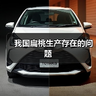 我国扁桃生产存在的问题(图3) 我国扁桃生产存在的问题(图3)