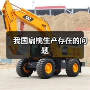 我国扁桃生产存在的问题(图2) 我国扁桃生产存在的问题(图2)