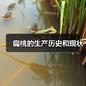 扁桃的生产历史和现状（图4）