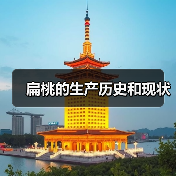 扁桃的生产历史和现状（图3）