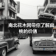 南北花木网带你了解扁桃的价值（图3）