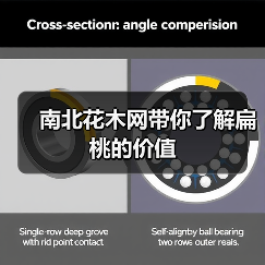 南北花木网带你了解扁桃的价值（图1）