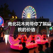 南北花木网带你了解扁桃的价值（图4）
