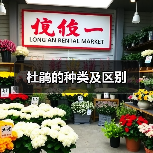 杜鹃的种类及区别(图3) 杜鹃的种类及区别(图3)