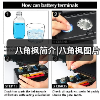 八角枫简介|八角枫图片（图3）