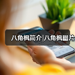 八角枫简介|八角枫图片（图4）
