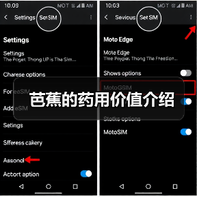 芭蕉的药用价值介绍(图2) 芭蕉的药用价值介绍(图2)