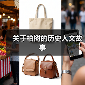 关于柏树的历史人文故事(图3) 关于柏树的历史人文故事(图3)