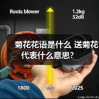 菊花花语是什么 送菊花代表什么意思?(图4) 菊花花语是什么 送菊花代表什么意思?(图4)