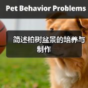 简述柏树盆景的培养与制作(图4) 简述柏树盆景的培养与制作(图4)