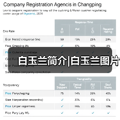 白玉兰简介|白玉兰图片（图3）