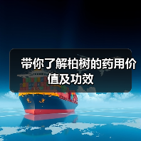 带你了解柏树的药用价值及功效(图4) 带你了解柏树的药用价值及功效(图4)