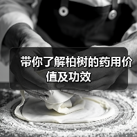 带你了解柏树的药用价值及功效(图1) 带你了解柏树的药用价值及功效(图1)