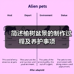 简述榆树盆景的制作过程及养护事项(图1) 简述榆树盆景的制作过程及养护事项(图1)