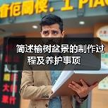 简述榆树盆景的制作过程及养护事项(图2) 简述榆树盆景的制作过程及养护事项(图2)