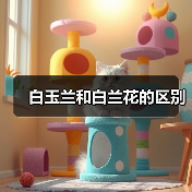 白玉兰和白兰花的区别(图3) 白玉兰和白兰花的区别(图3)