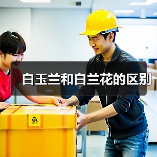 白玉兰和白兰花的区别(图2) 白玉兰和白兰花的区别(图2)