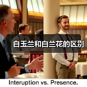 白玉兰和白兰花的区别(图4) 白玉兰和白兰花的区别(图4)
