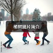 榆树图片简介(图3) 榆树图片简介(图3)