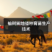 榆树圃地播种育苗生产技术（图1）
