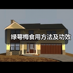 绿萼梅食用方法及功效(图1) 绿萼梅食用方法及功效(图1)