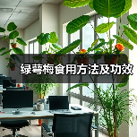 绿萼梅食用方法及功效(图3) 绿萼梅食用方法及功效(图3)