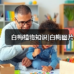 白梅植物知识|白梅图片(图1) 白梅植物知识|白梅图片(图1)