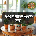 榆树圃地播种育苗生产技术（图3）