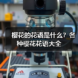 樱花的花语是什么?各种樱花花语大全(图3) 樱花的花语是什么?各种樱花花语大全(图3)